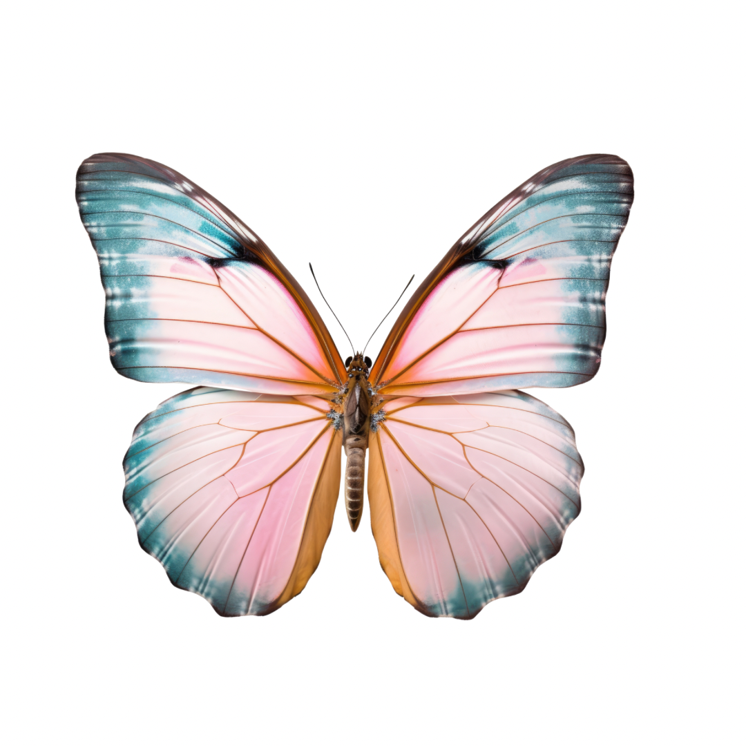 PINK GOSSIP OFFICIAL